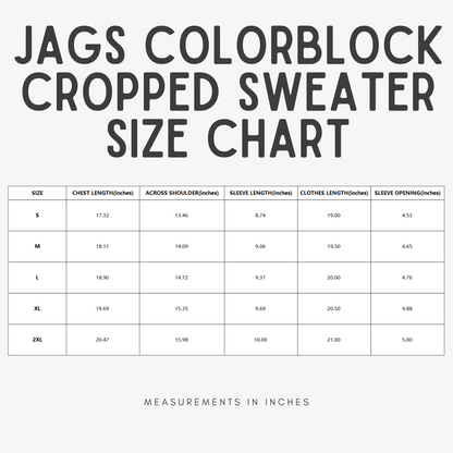 jags crop colorblock sweater